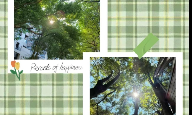 人生“松弛感”收集计划|一份让你不费力就快乐的小清单！