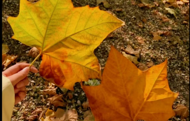 重启童年模式：成年人那些“藏在心底”的快乐密码