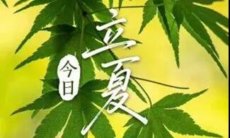 立夏｜春深花已尽，夏木正成荫