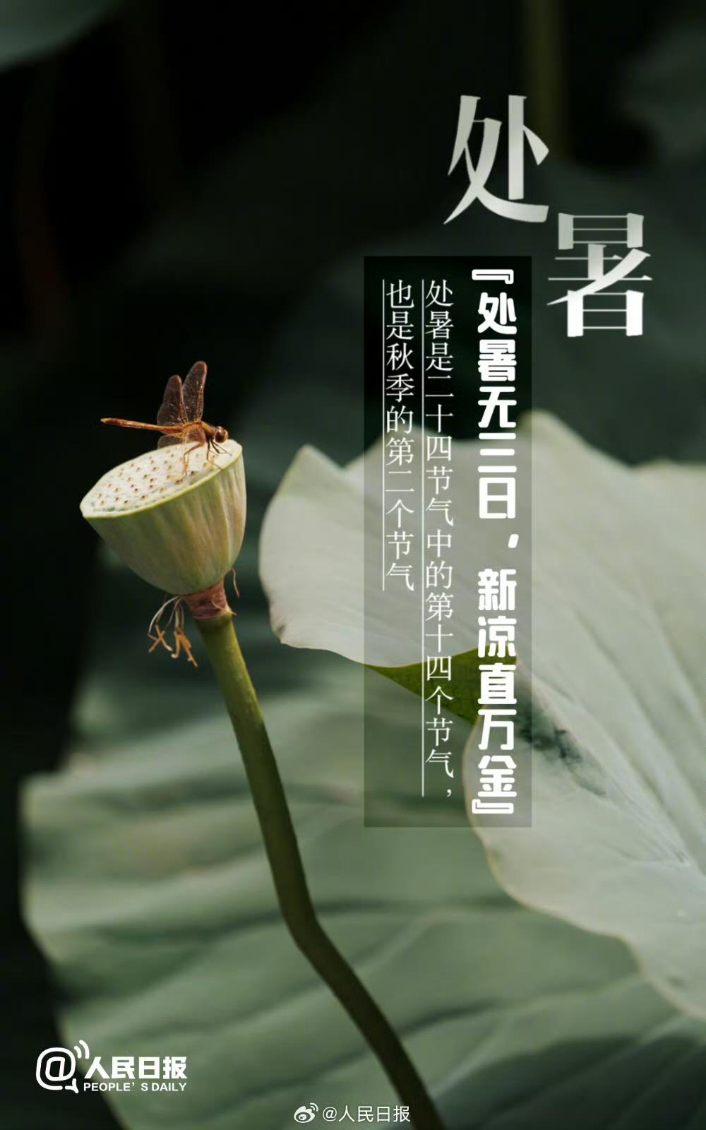 处暑至，暑气消